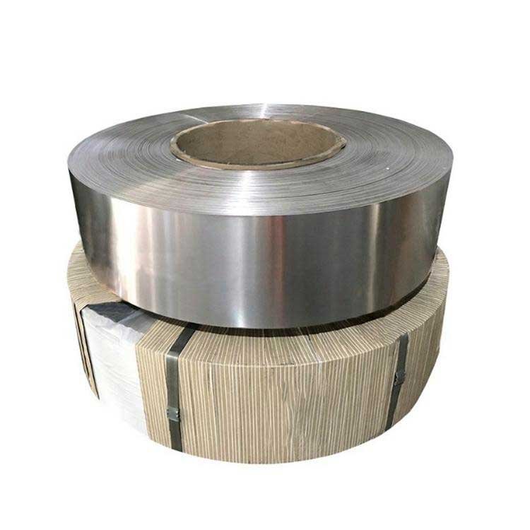 Stainless Steel Strip